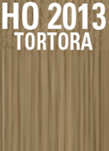HO 2013