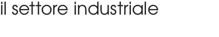 il_settore_industriale