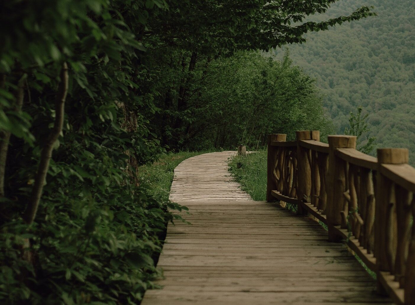 PASSEGGIARE nella NATURA